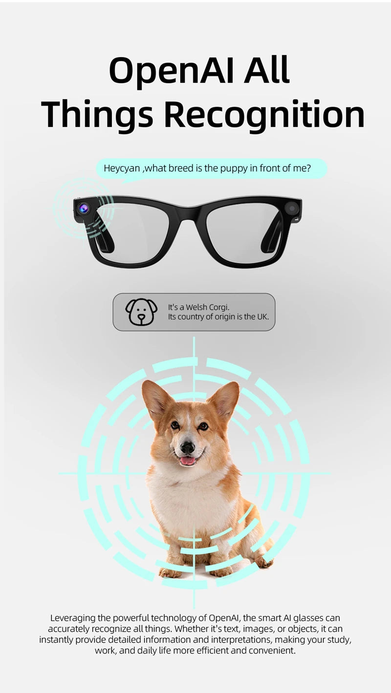 Xiaomi G300 Smart AI Glasses 800W pixel AI Shooting Camera HD Photo Video Voice Call Translation Waterproof Bluetooth Glasses